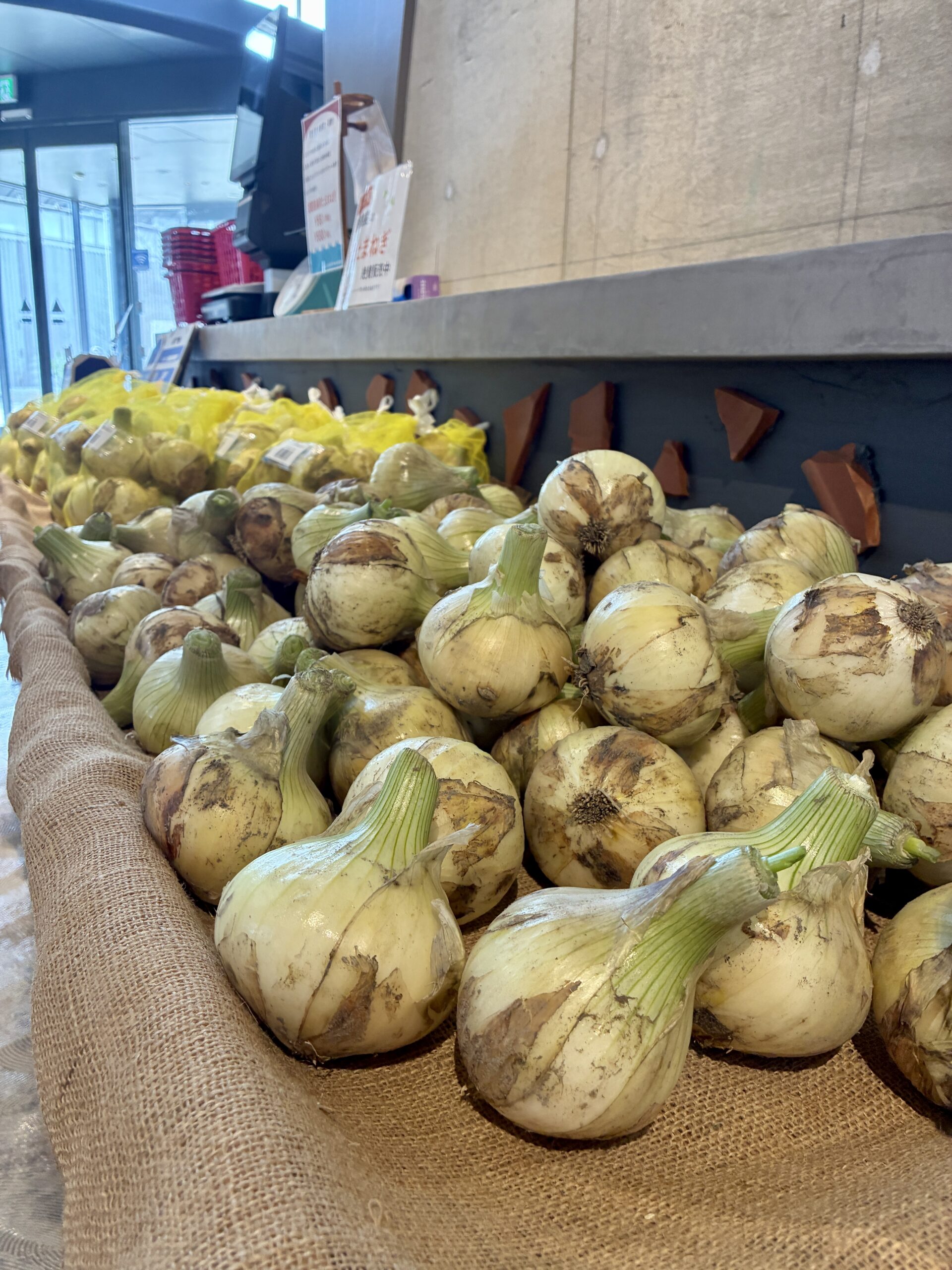 旬の新たまねぎ入荷しました。