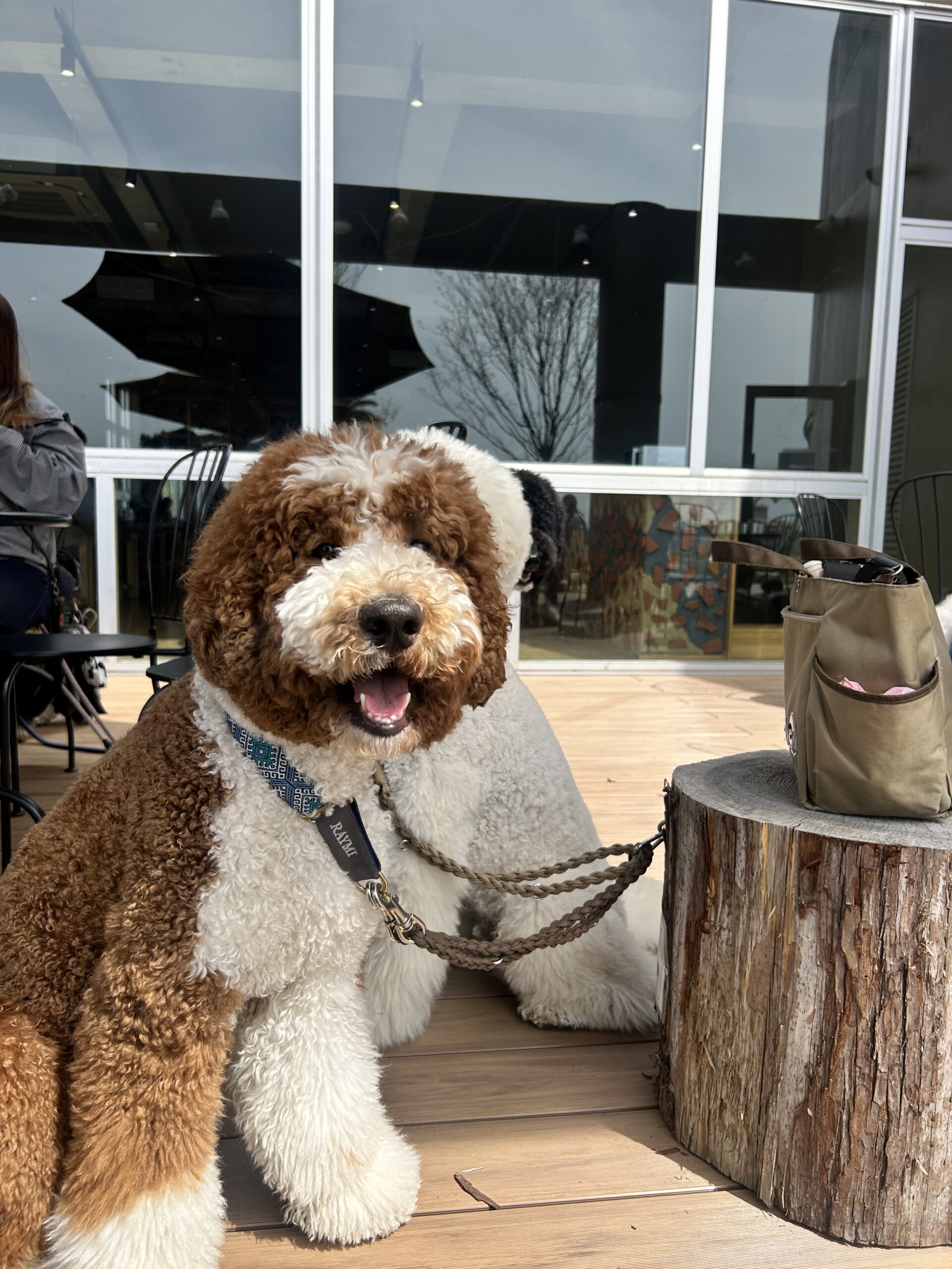 ペット同伴団体さま利用のご紹介